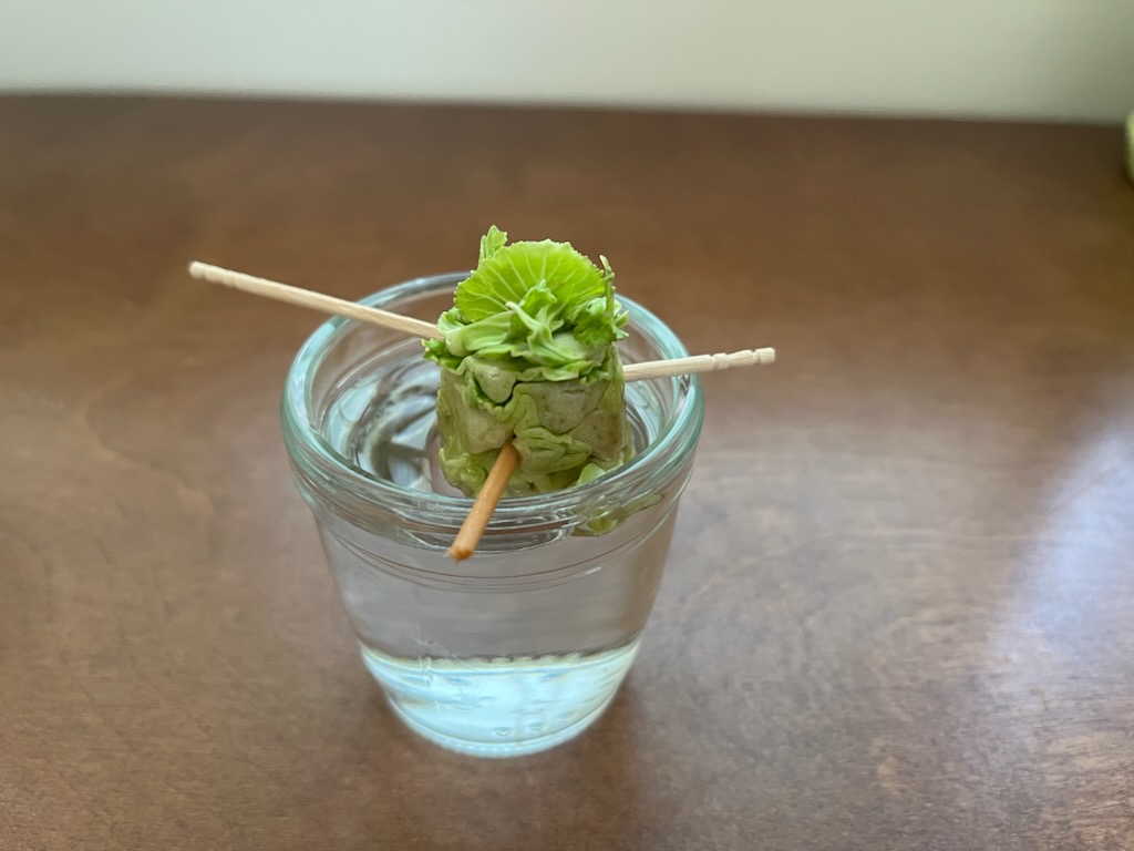 キャベツの芯