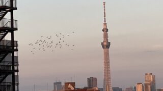 クラウド・ウォッチング＆子の成長を見て思う事。