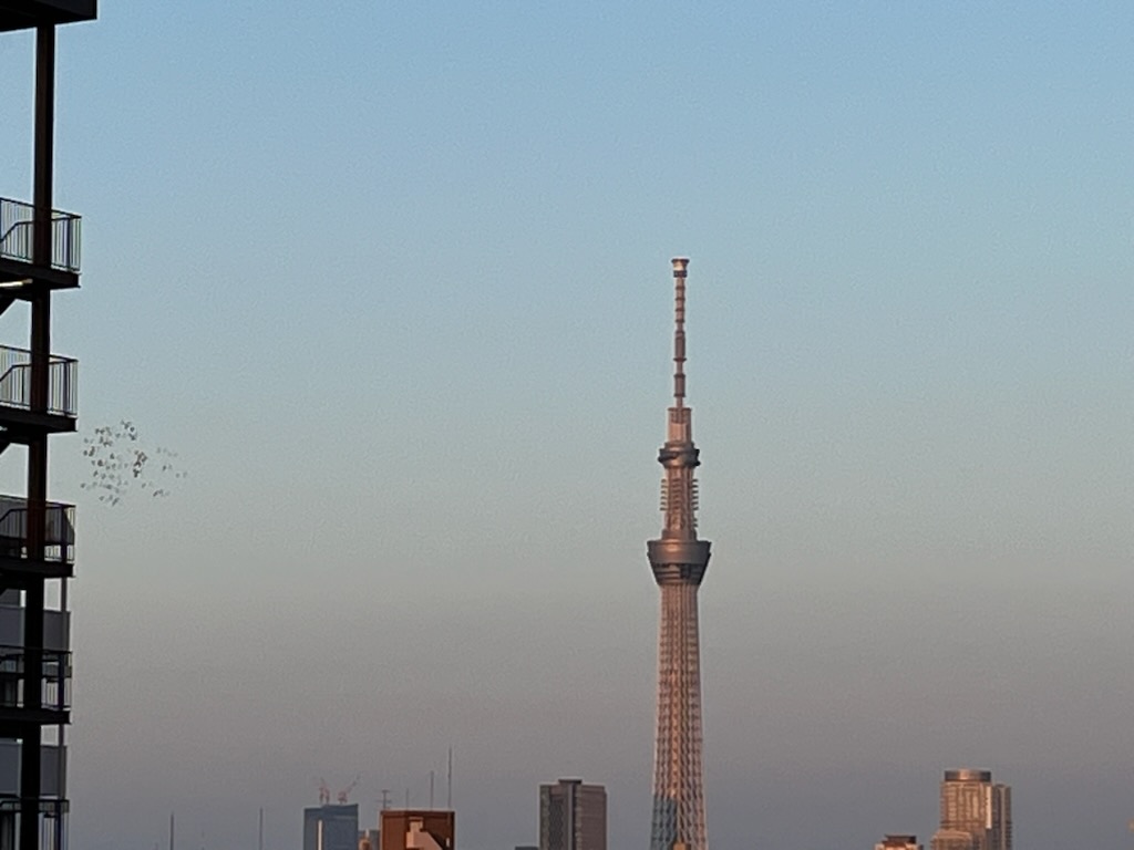 スカイツリー