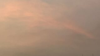 今朝の空と鳩🕊️と冷蔵庫ストック消費。