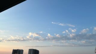 年に一度の特別なランチ🍽️とおいしいドーナツをテイクアウト🍩