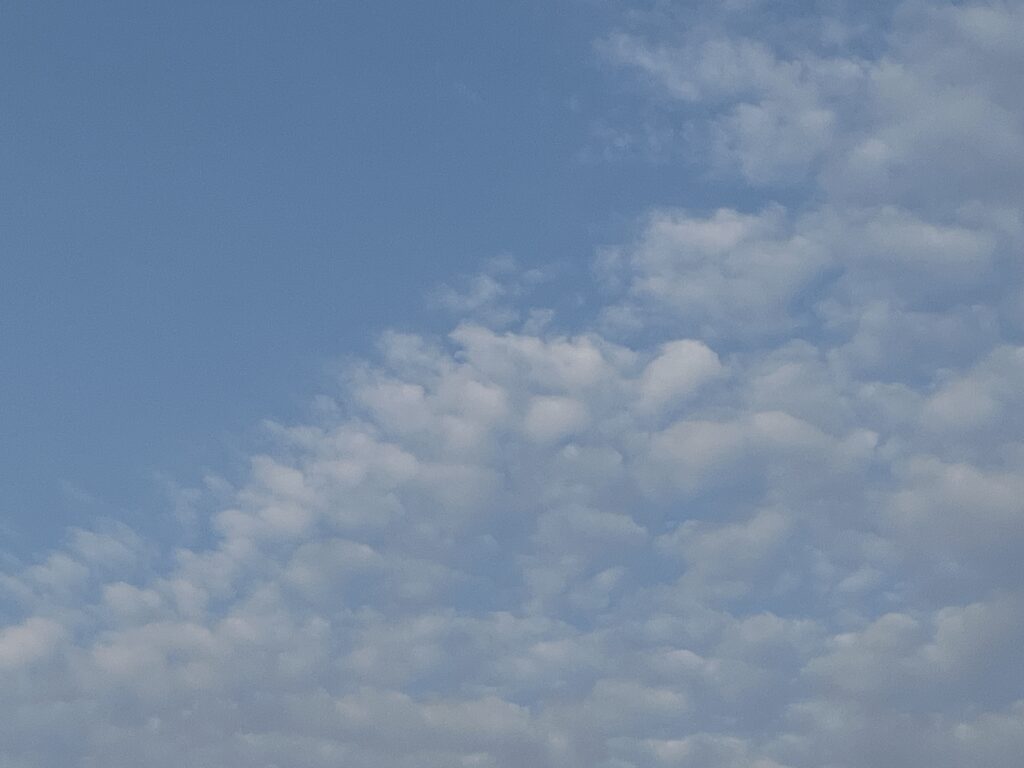 31日の空