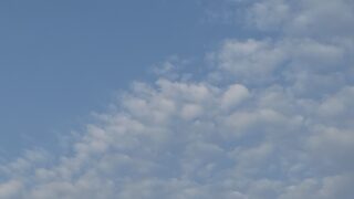 今日は副業🍰の日。月末なので、今月を振り返る・・・