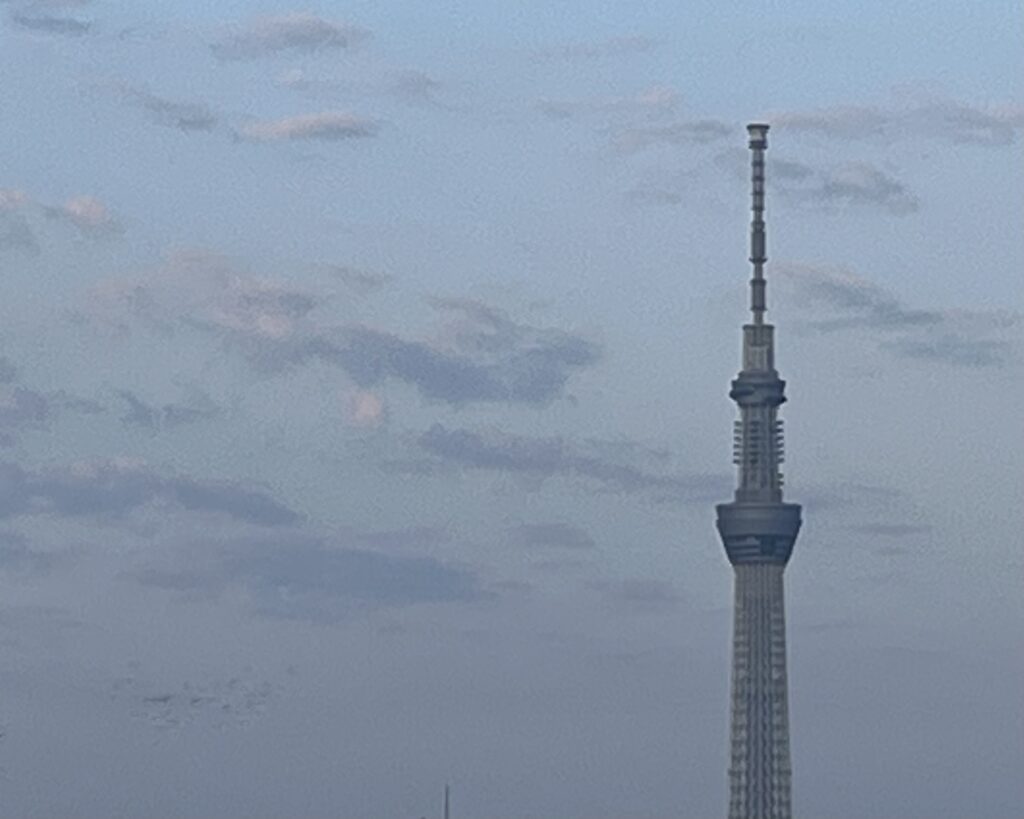 鳩とスカイツリー。