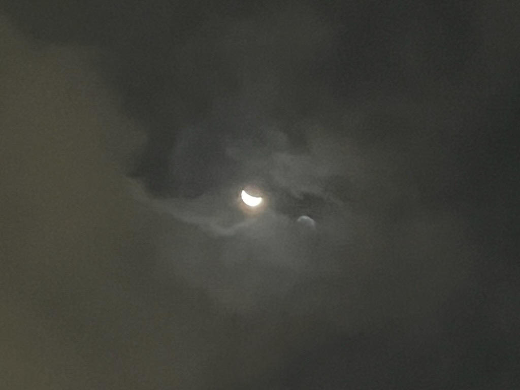 朝の月