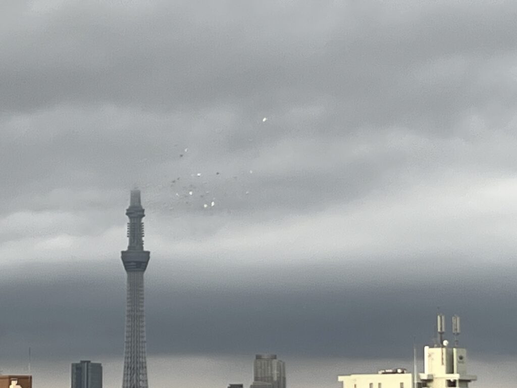 スカイツリーと鳩