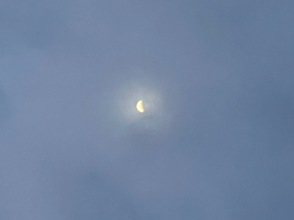 朝の月