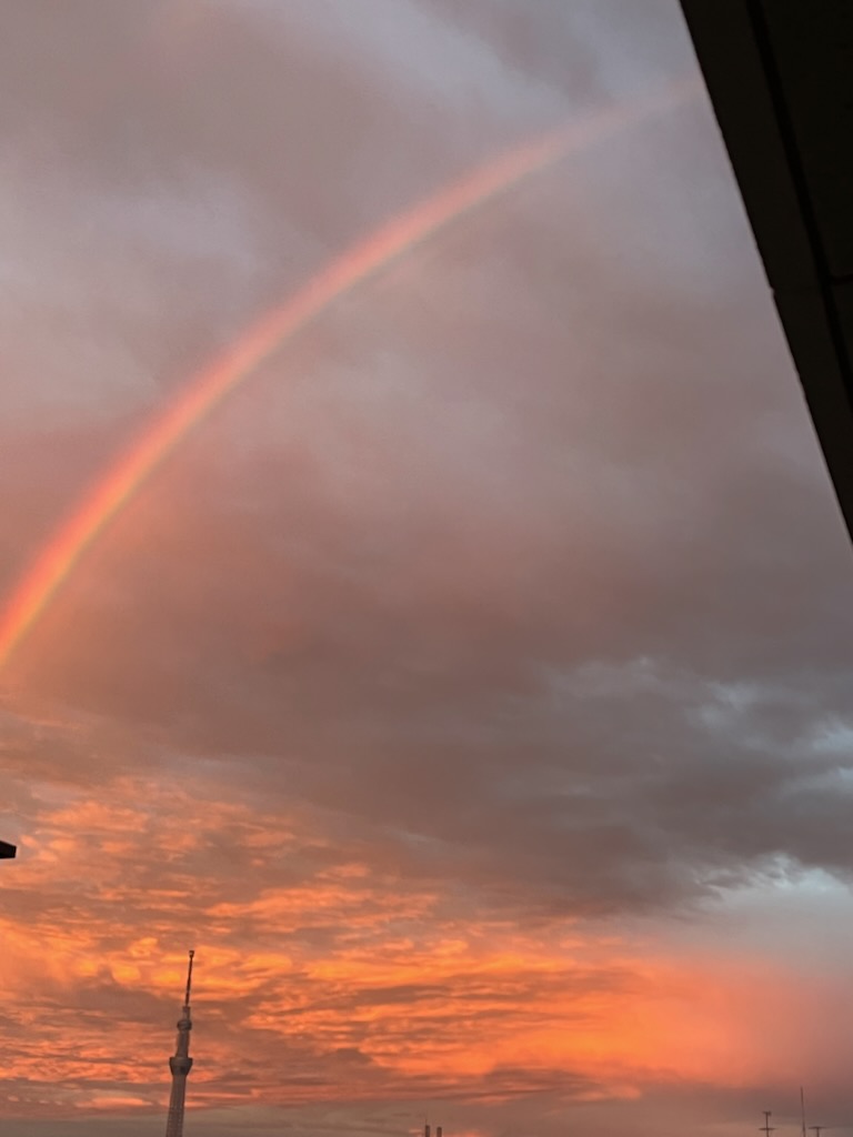 朝の虹