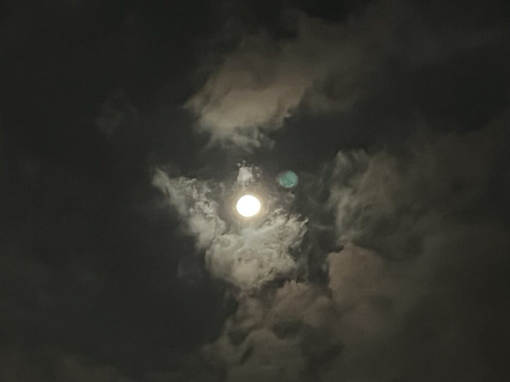 10日の朝の月。