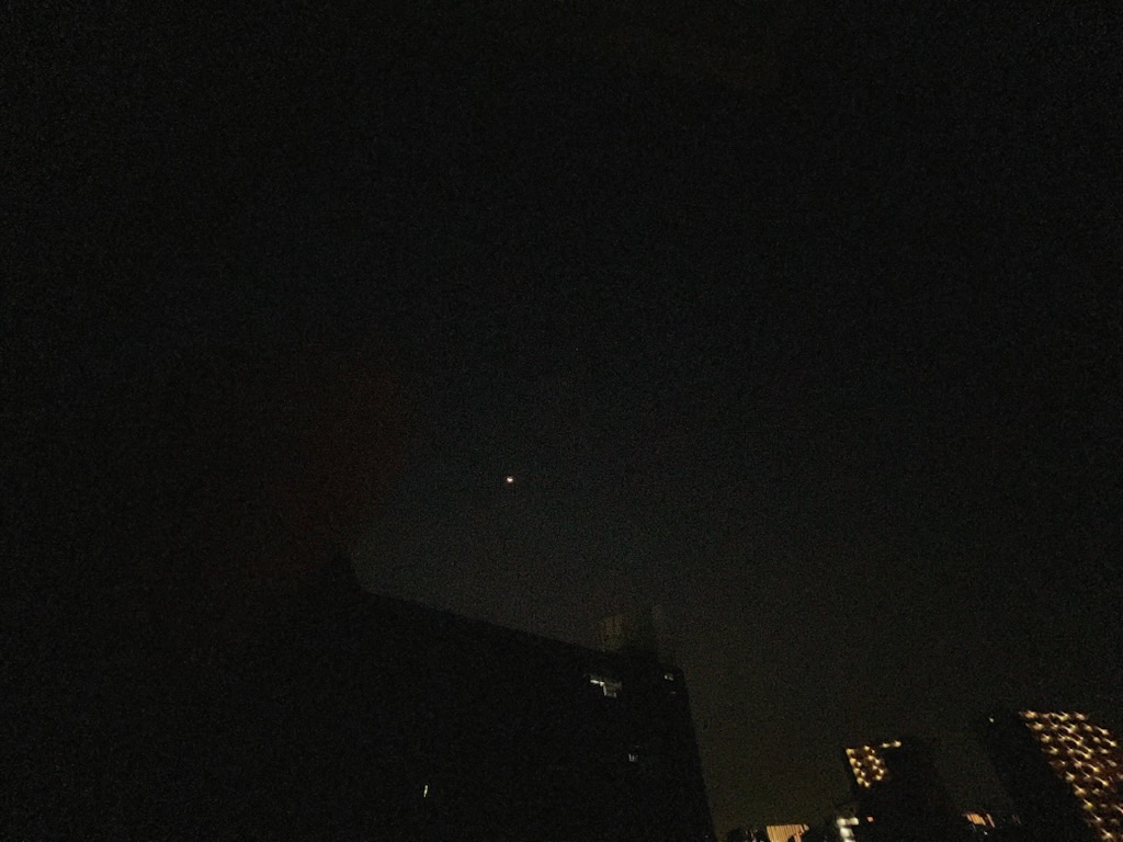 朝の月