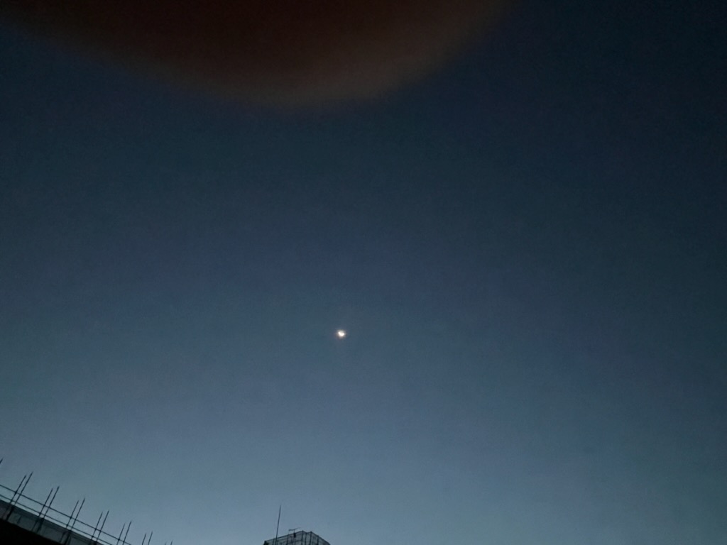 朝の月