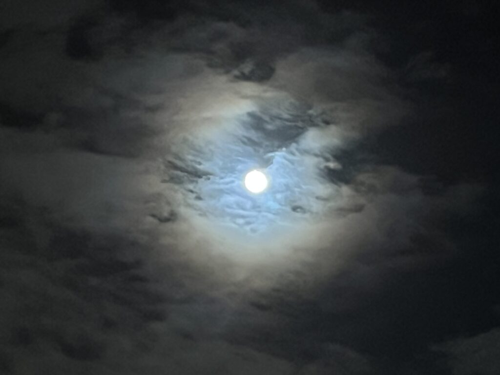 満月