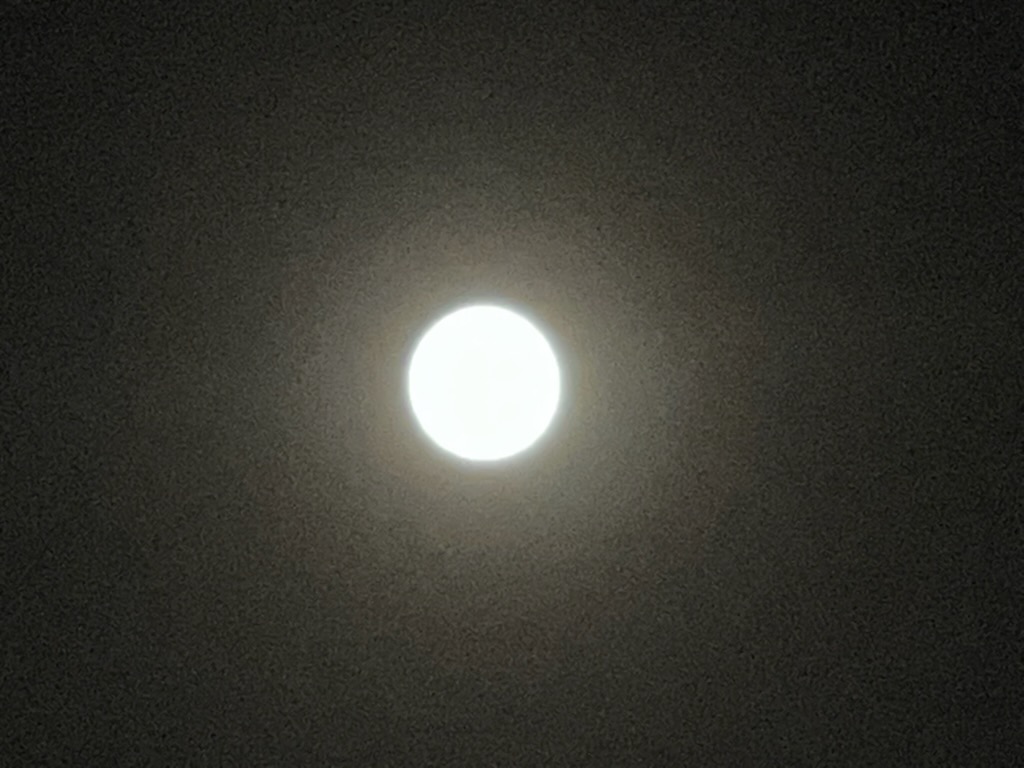 中秋の名月