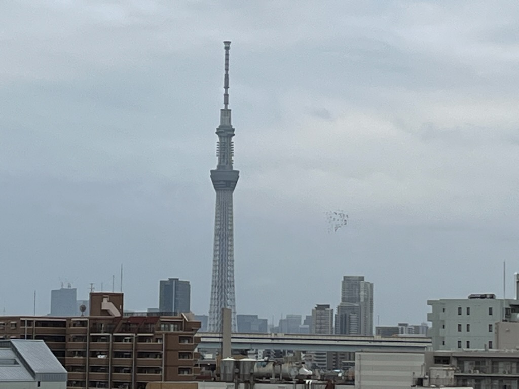スカイツリーと鳩