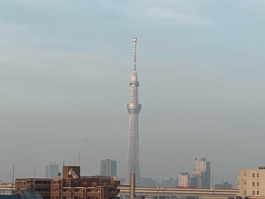 スカイツリーと鳩