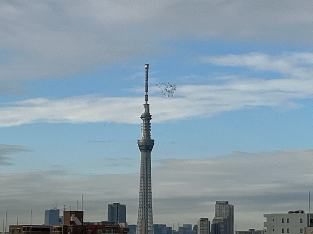 スカイツリーと鳩