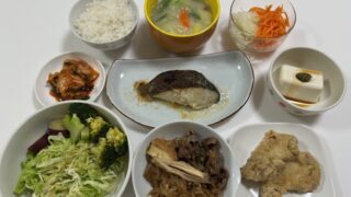 １泊で帰省🧳＆もしもの時のために、一仕事終了📓