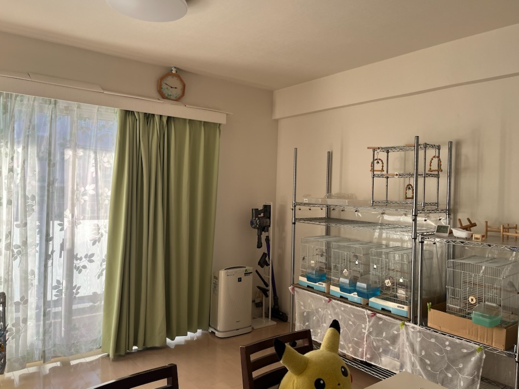 カーテンと鳥かご