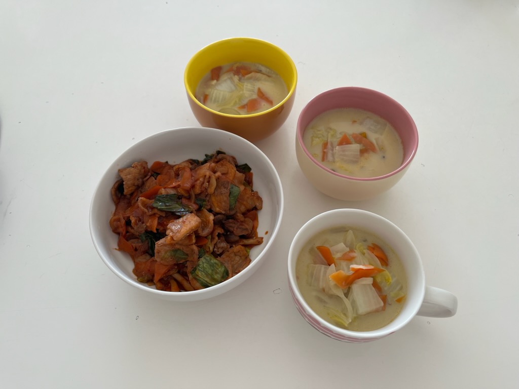 豚肉と野菜のケチャップ炒め、シチュー