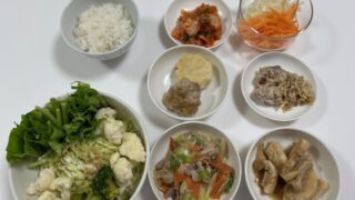 猫のいる宿を探してみた🐈＆家にある材料で麻辣湯風🍲