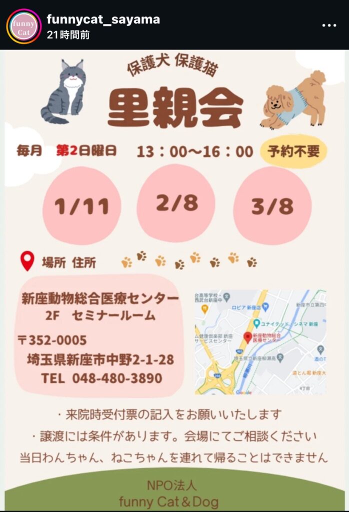 funny cat狭山 譲渡会情報