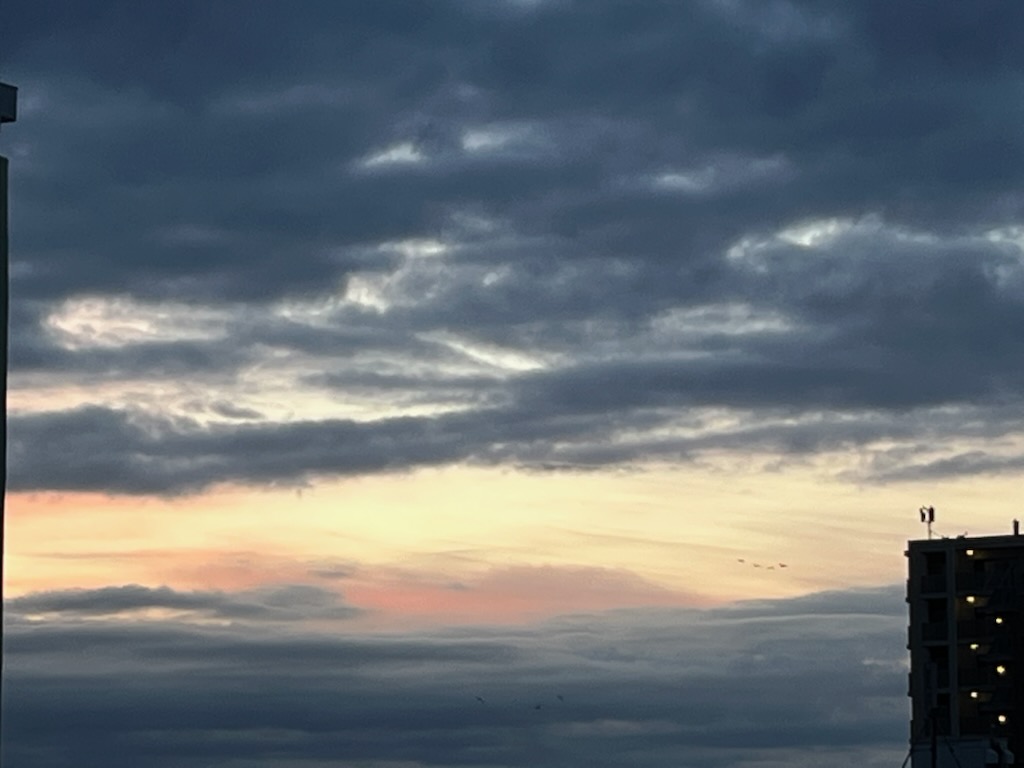 朝焼けで色づいた雲