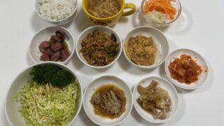 🔰ヨーグルトメーカーで、発酵あんこを作ったところ・・・😅