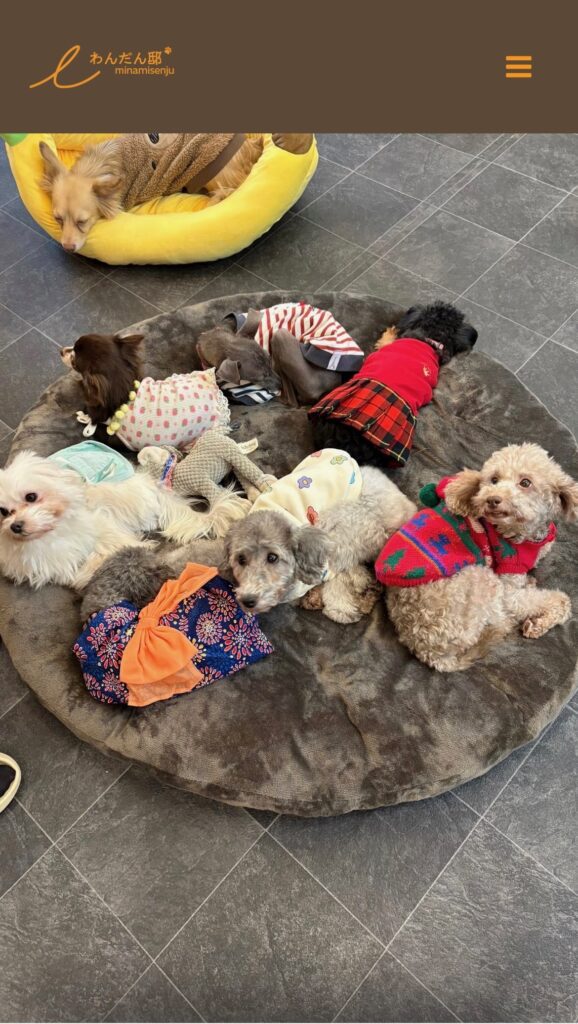 保護犬カフェわんだん邸