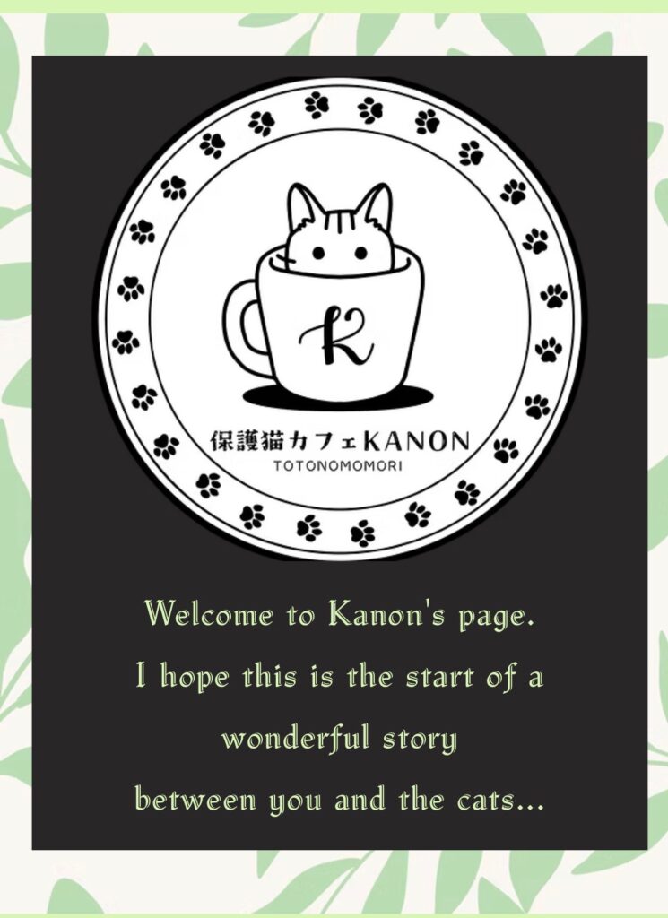 保護猫施設KANON
