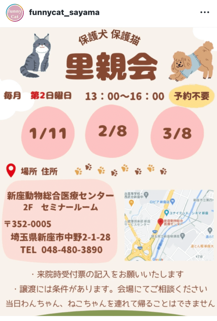 保護犬、保護猫里親会情報