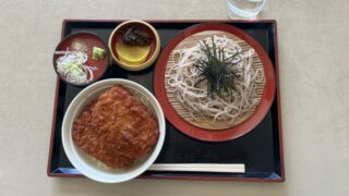 帰宅ついでに、一日鉄道旅🚃＆名物のわらじカツ丼😋