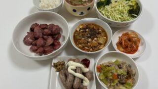 「保護猫カフェさくら」さんのTikTokを２つ投稿🎉