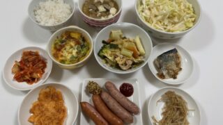 実家帰りに「保護猫カフェさくら」さんへ😺