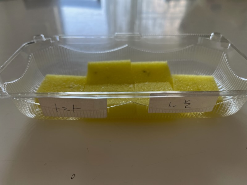 ミニトマトとしその種まき