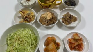 ㊗️初めてのソロ一泊旅行🎵まずは『ネコリパブリック大阪』へ🐈