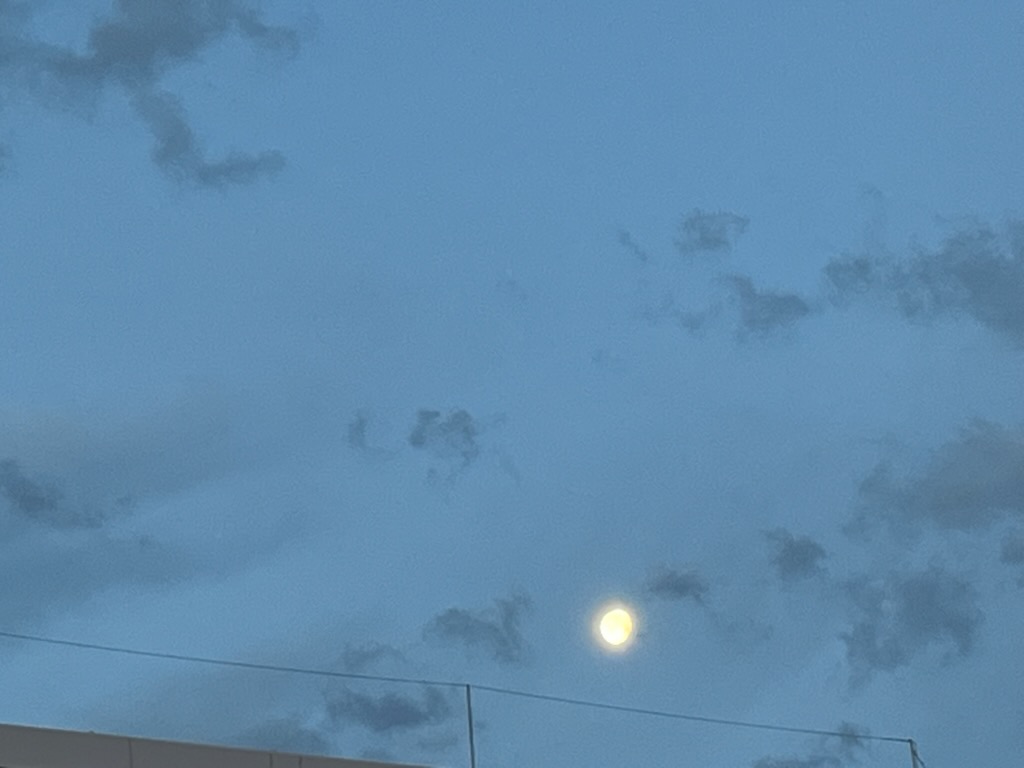 朝の月