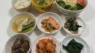 ミニトマトの引っ越し🌱＆今日の食事は92点🍚