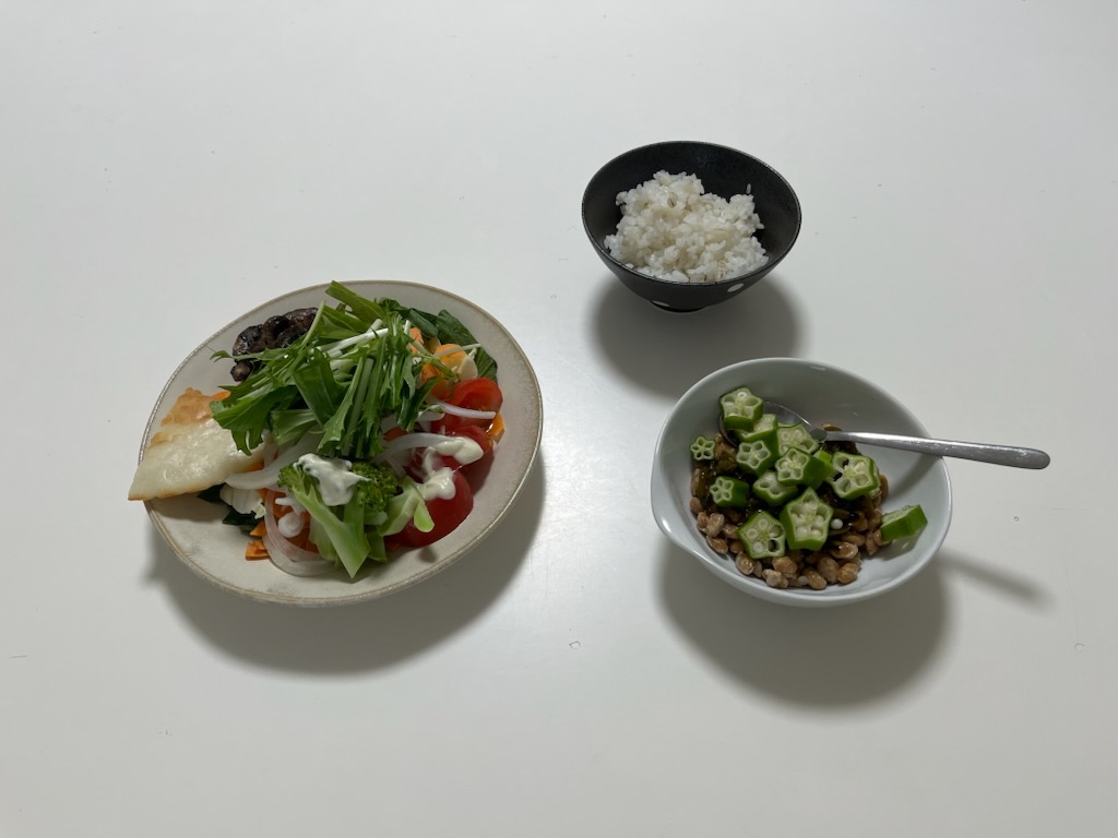 サラダ、納豆めかぶ、白米