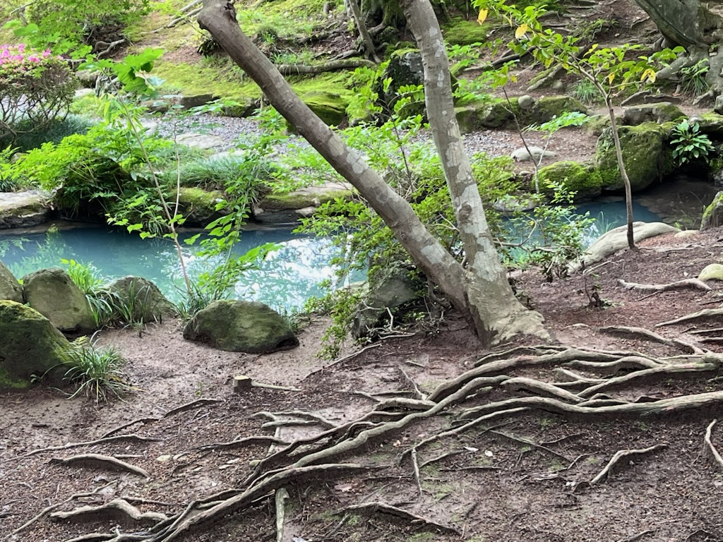 輪王寺の庭園
