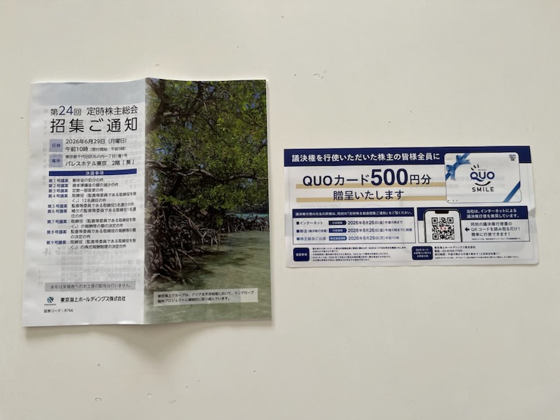 東京海上ホールディングス株主総会招集通知