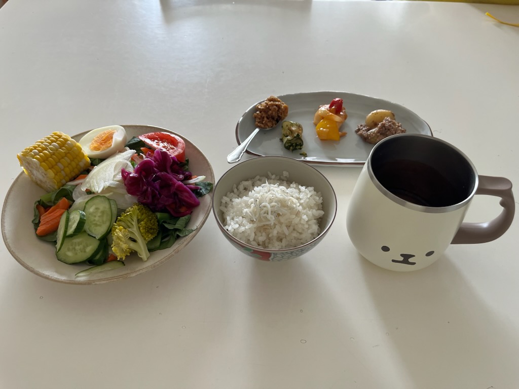 小皿に盛った私の昼ご飯