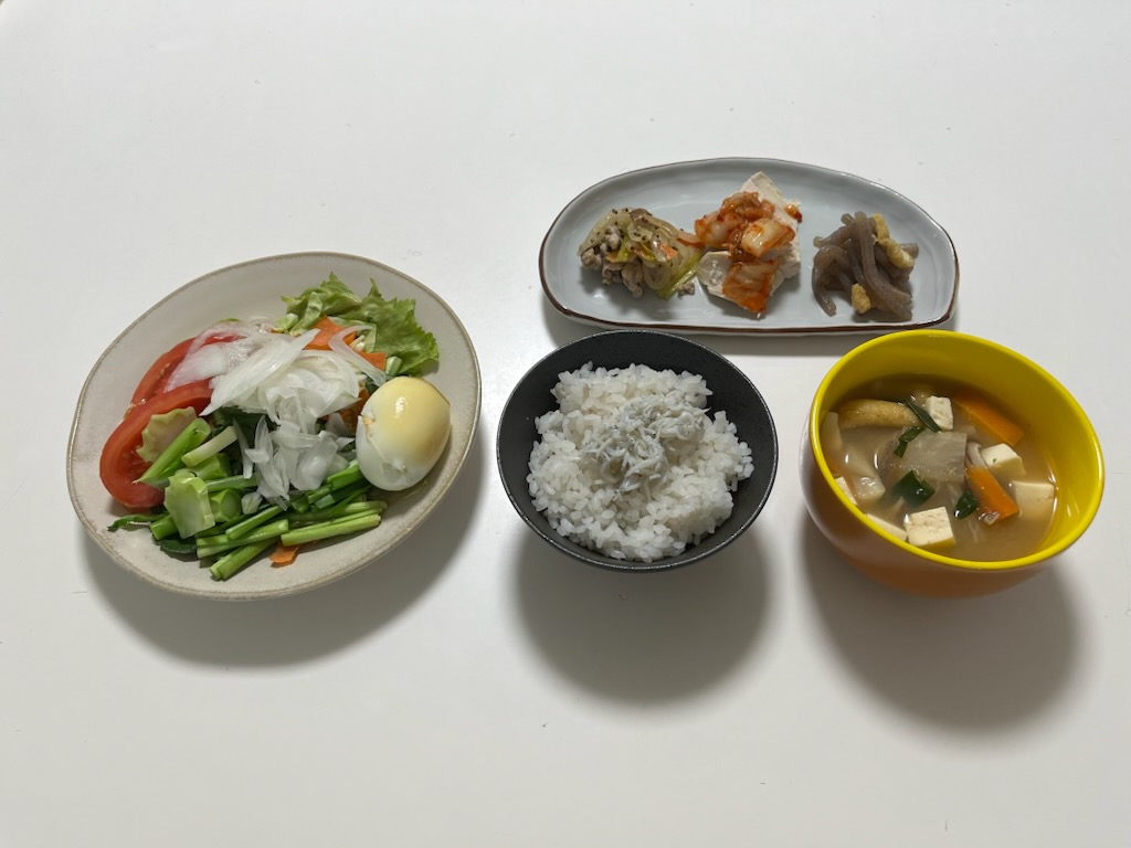 サラダプレート、しらすトッピング白米、おかずプレート、豚汁風味噌汁