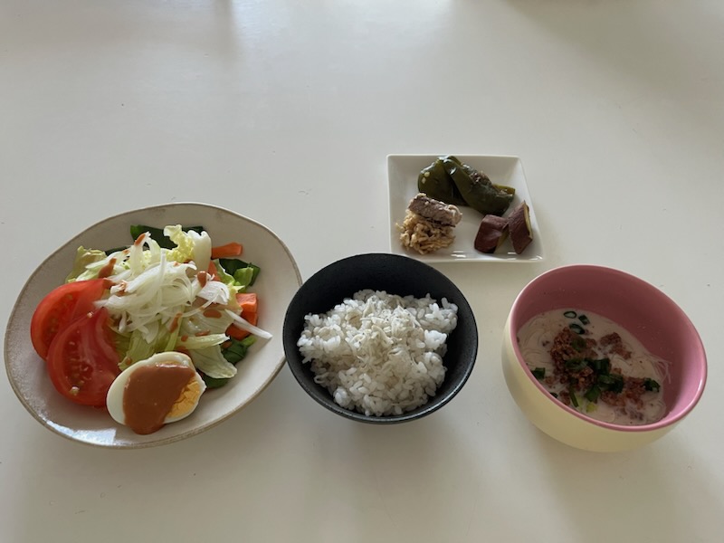 サラダプレート、しらすトッピング白米、豆乳坦々春雨、おかずプレート