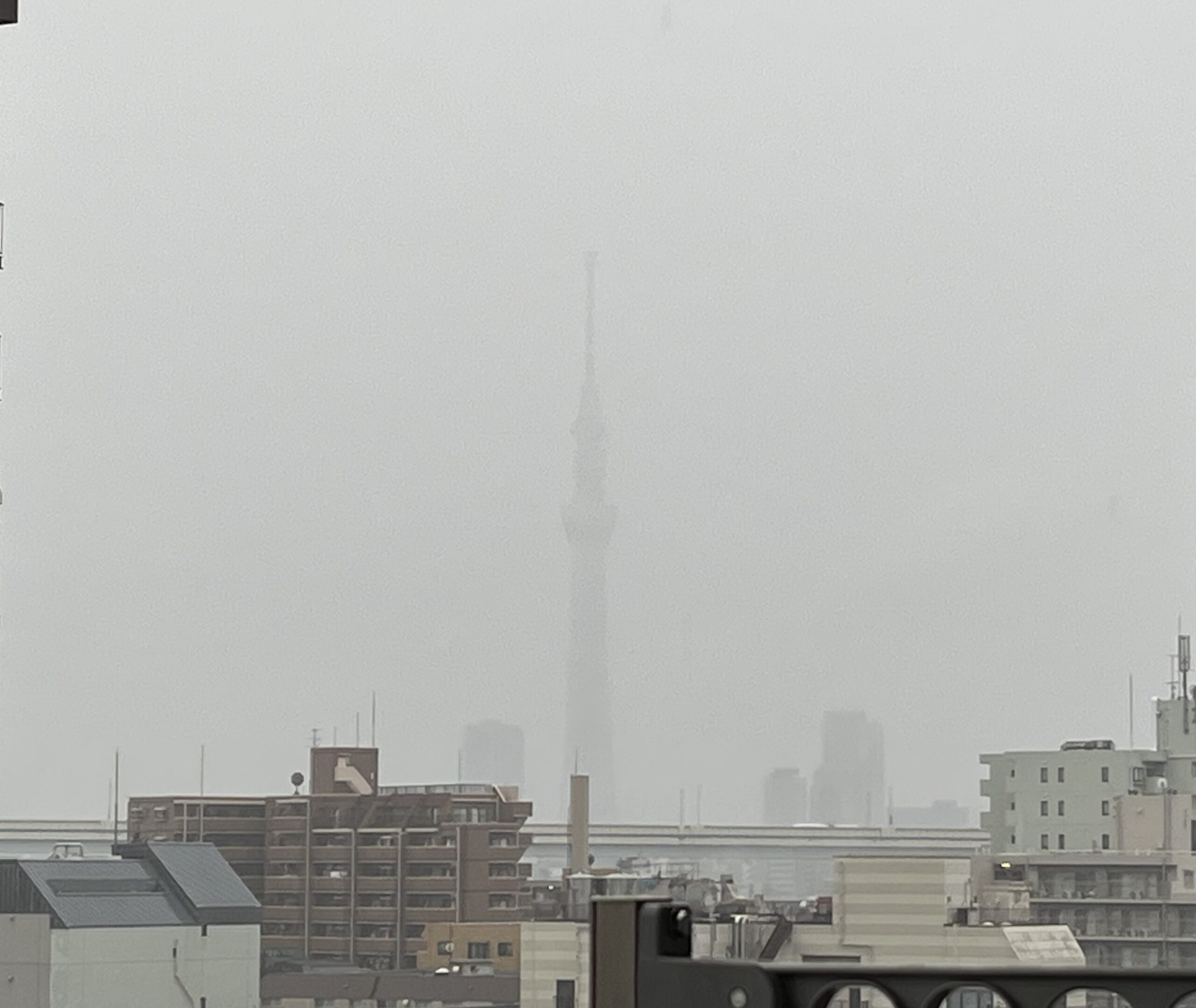 朝のスカイツリー
