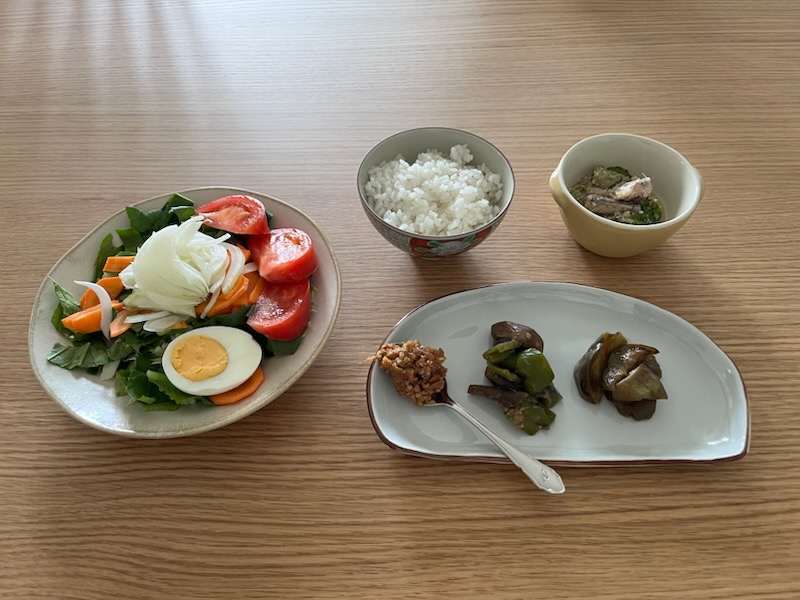 小皿に盛った私の昼ご飯
