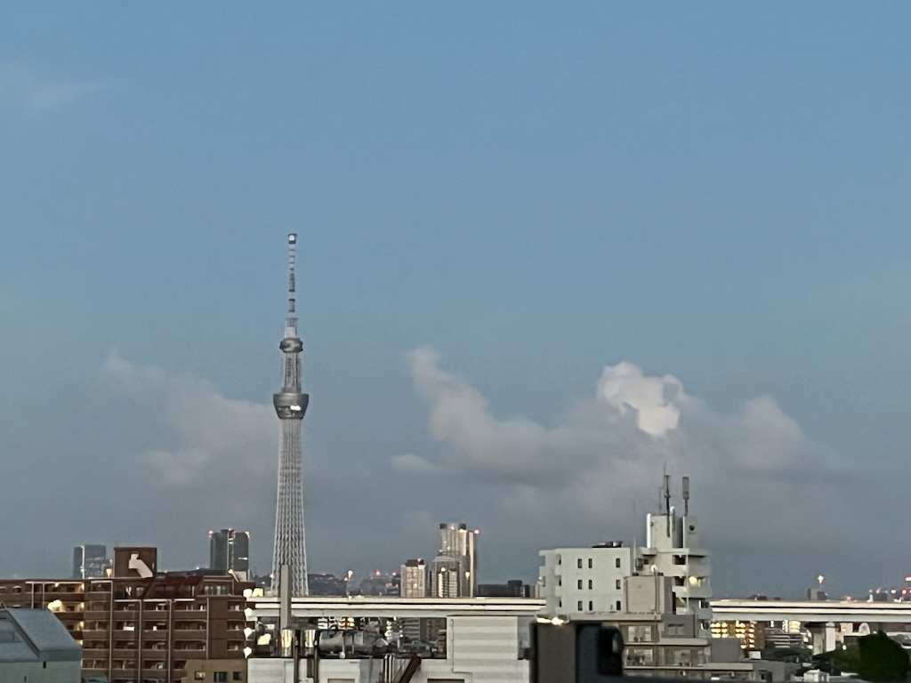 朝のスカイツリー方面