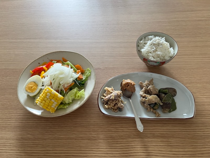 小皿に盛った私の昼ご飯