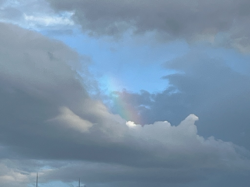 雨上がりの虹