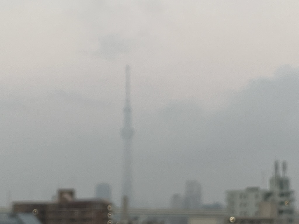 朝のスカイツリー方面