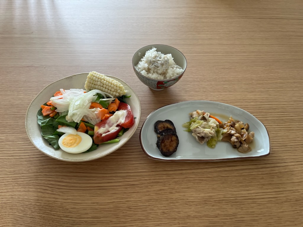 小皿に盛った私の昼ご飯